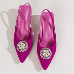Fuchsias