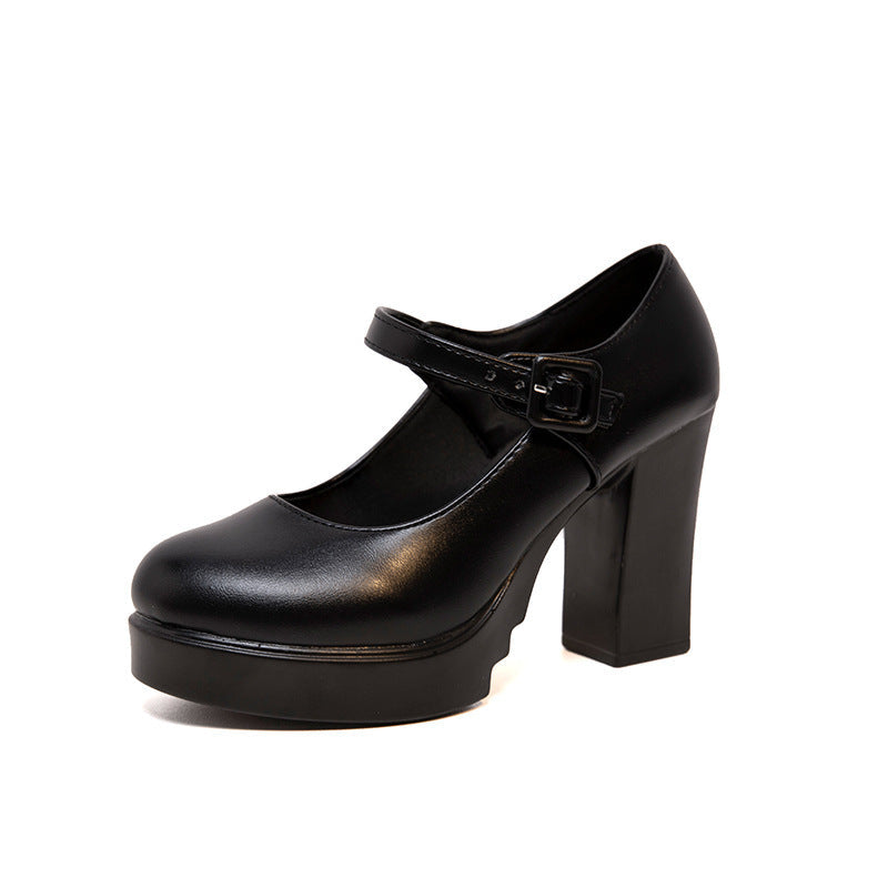 Stylish women's Mary Jane block heel pumps, offering comfortable support for all-day wear & formal events.