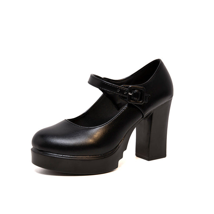 Stylish women's Mary Jane block heel pumps, offering comfortable support for all-day wear & formal events.