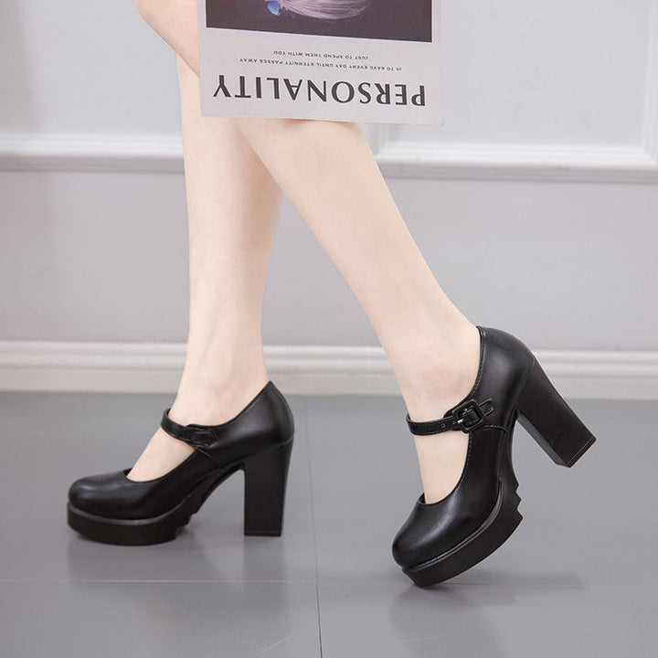 Classic Mary Jane pumps, elegant women's shoes with a secure strap and sturdy block heel.