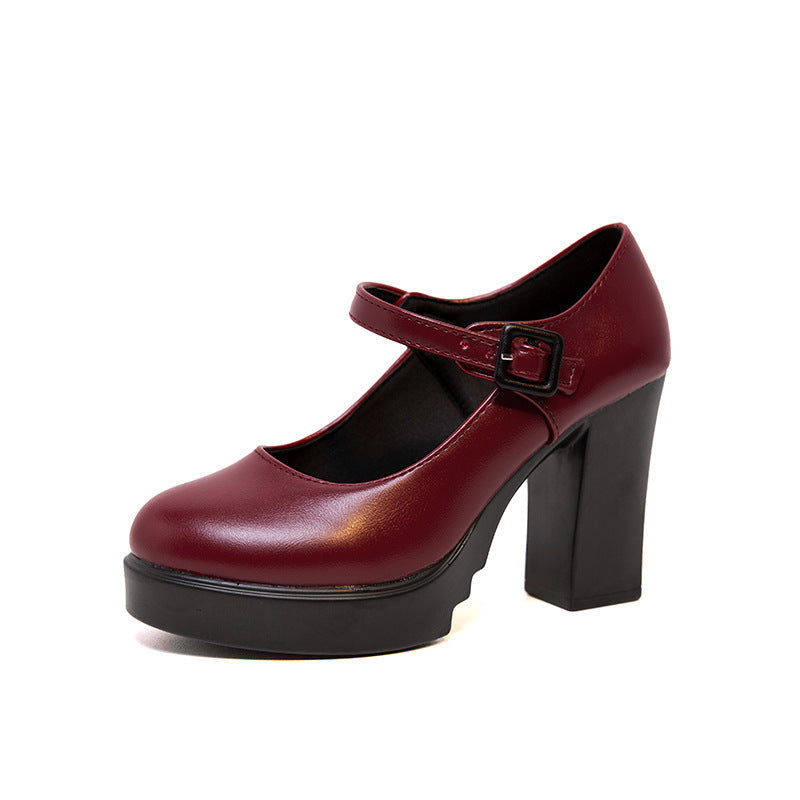 Elegant women's Mary Jane block heel dress shoes, comfortable and classic for sophisticated footwear needs.