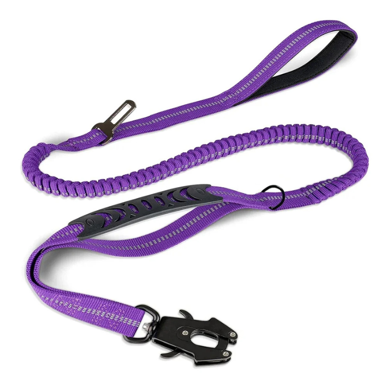 Large dog walking with a heavy-duty, shock-absorbing leash for safe and controlled outdoor adventures.