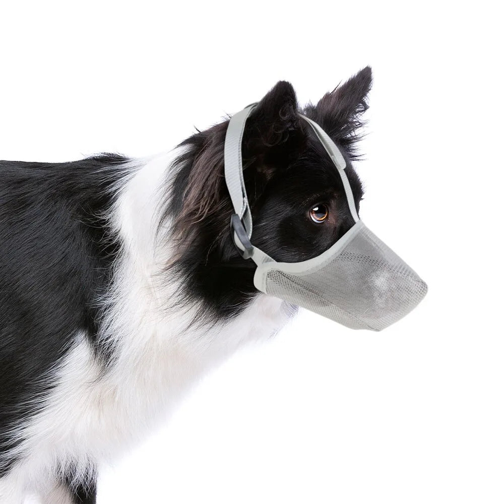 Lightweight AirMesh muzzle, a soft & humane option for dog training, grooming & vet visits.