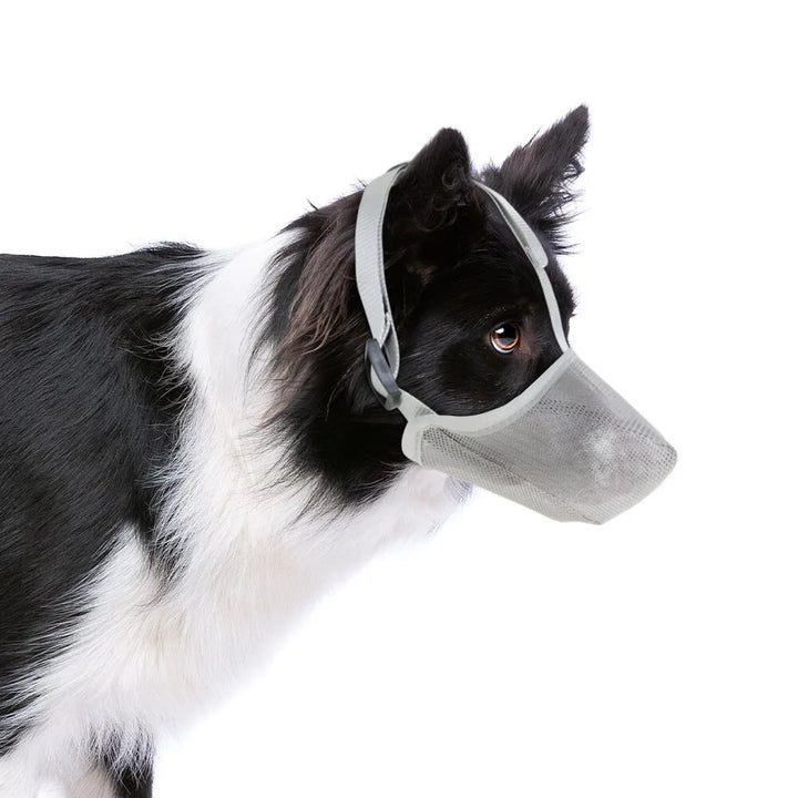 Lightweight AirMesh muzzle, a soft & humane option for dog training, grooming & vet visits.
