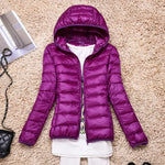 Lilac Hood