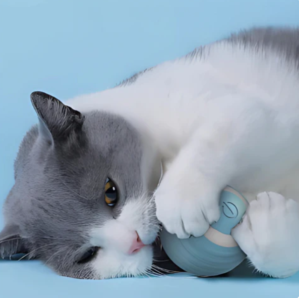 Essential pet supply: Automatic cat toy ball with a fluttering feather tail, perfect for cat entertainment.