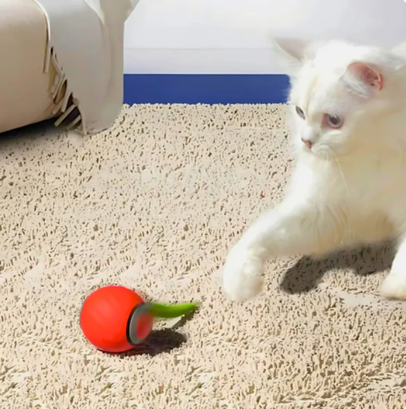 Kitten toy: Automatic rolling ball with a soft feather tail, encouraging active play and healthy exercise.