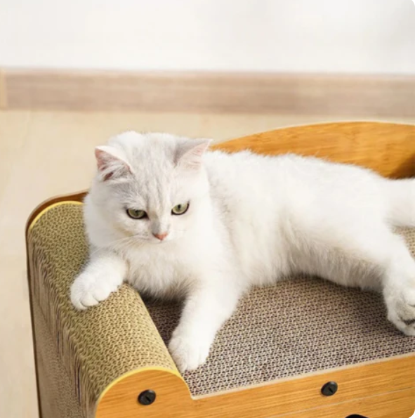 Stylish cat condo featuring a durable sisal scratcher, a soft sleeping area, and an engaging play zone for kittens.
