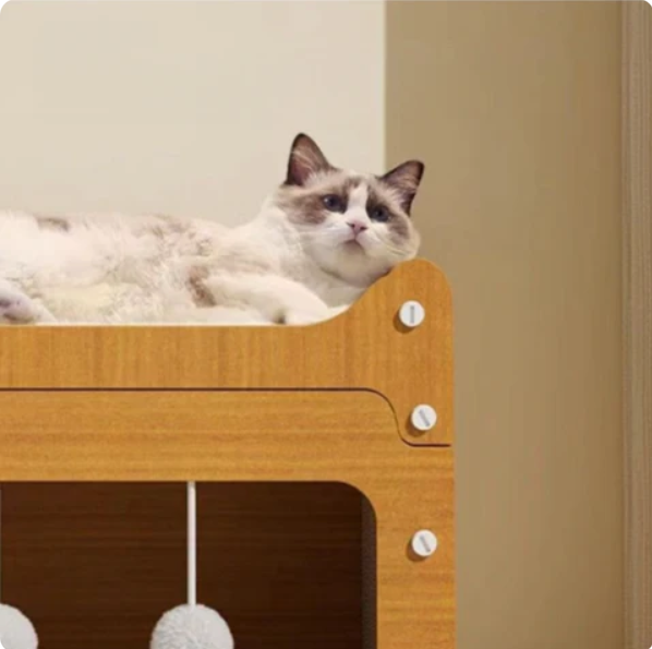 Feline pet supplies: a spacious cat house with a built-in scratching mat and an exciting play tunnel for active cats.