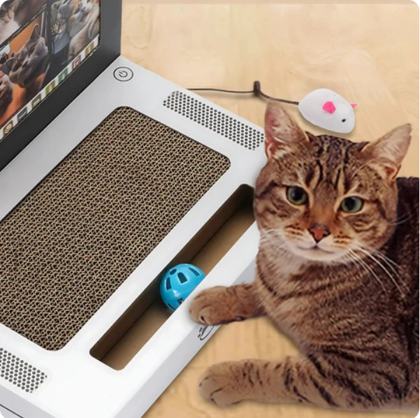 Pet accessory: interactive cat laptop scratcher board for felines. Promotes healthy claws & protects furniture.