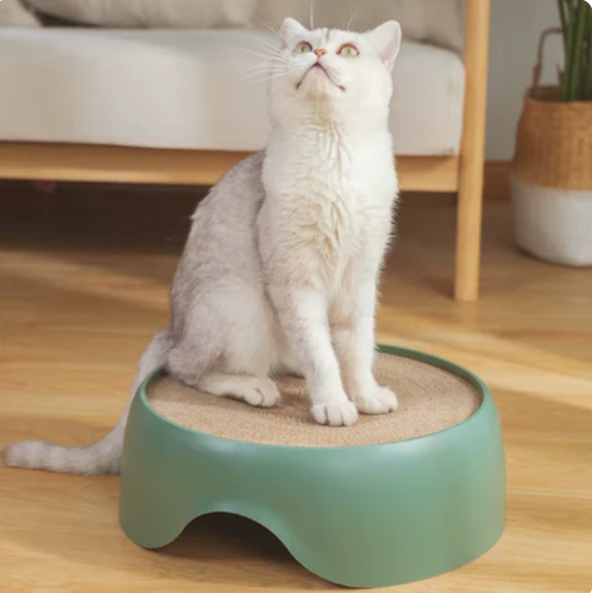 Comfortable cat bed with an accessible scratching surface, perfect for feline relaxation & nail care.