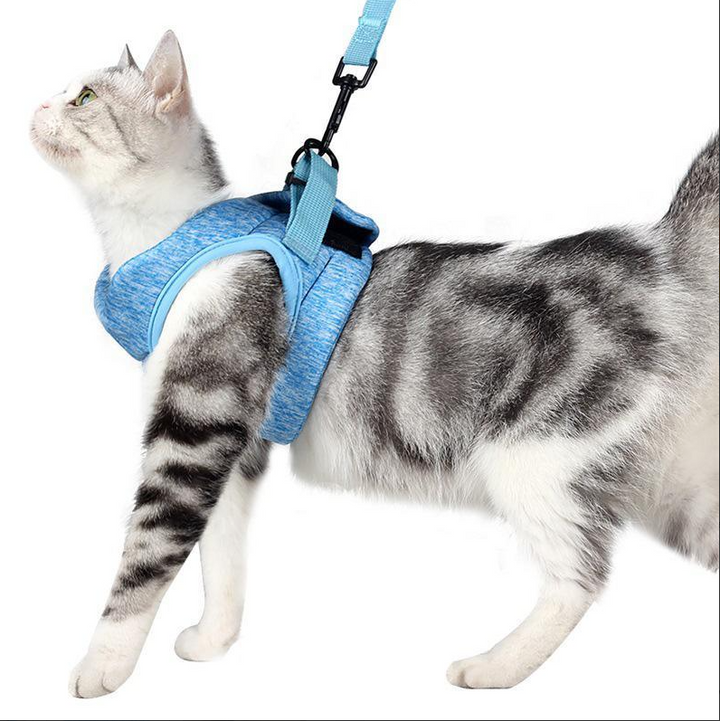 Secure anti-escape cat harness & leash for safe outdoor walks, ensuring feline safety.