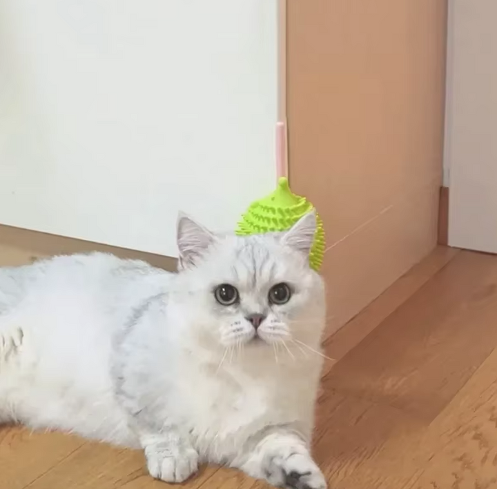 UFO-shaped silicone catnip toy. Interactive scratching toy for active indoor cat play & feline enrichment.