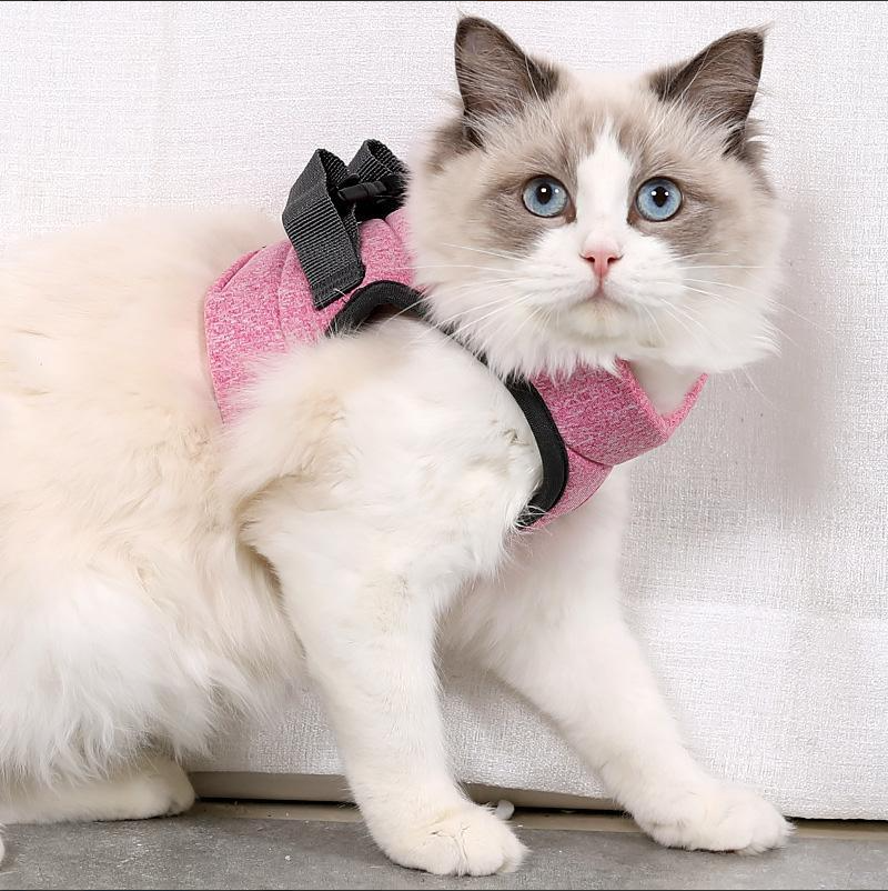 Premium adjustable cat harness & leash for secure, enjoyable walks; essential feline safety pet supplies.