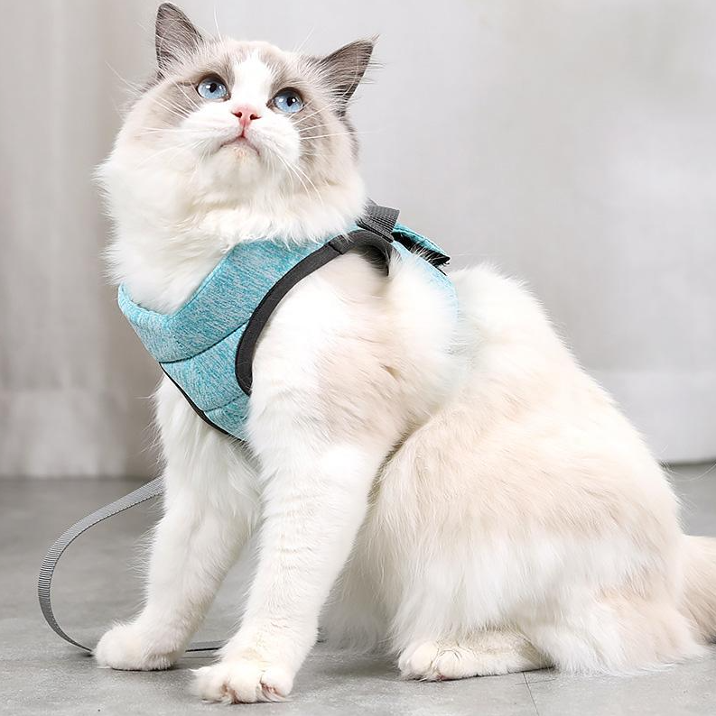 Secure cat walking harness and leash for safe, comfortable outdoor explorations with your pet.