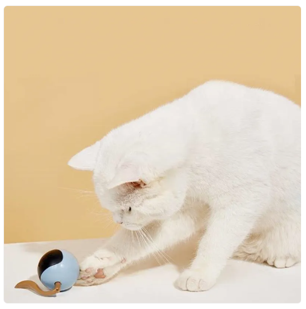 LED light-up cat toy ball, a smart interactive accessory for feline fun & engagement.