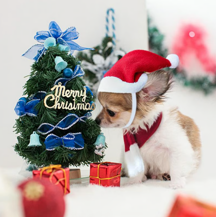 Charming pet Christmas hat & scarf set, versatile holiday apparel for dogs & cats, all sizes.