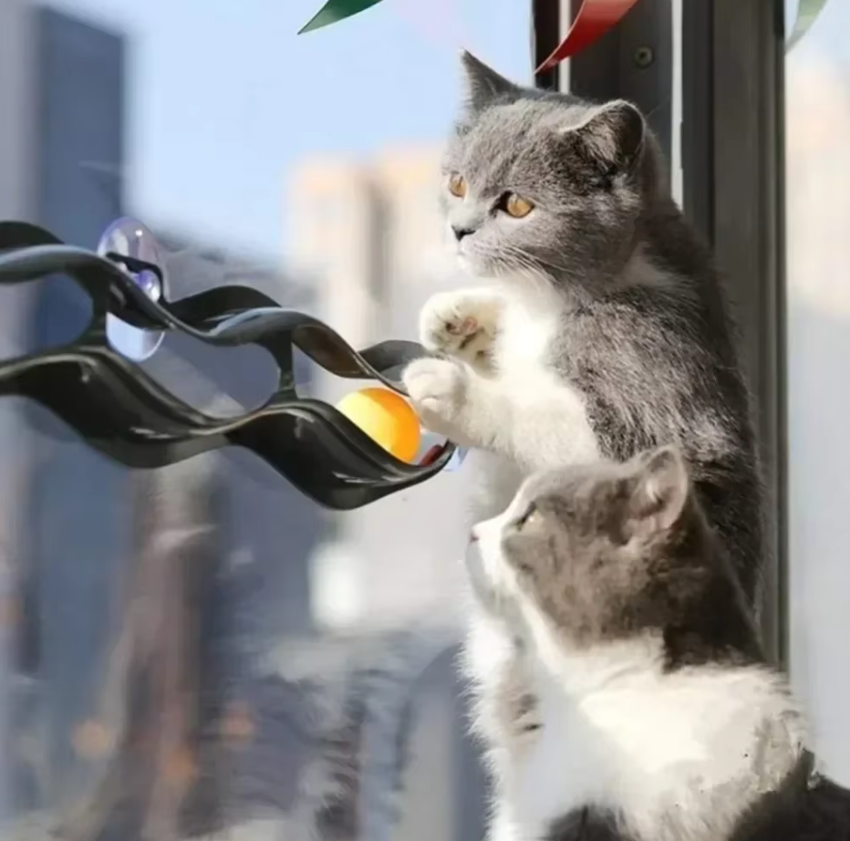 Window-mounted cat track toy with movable balls; ideal for interactive pet play & enrichment.