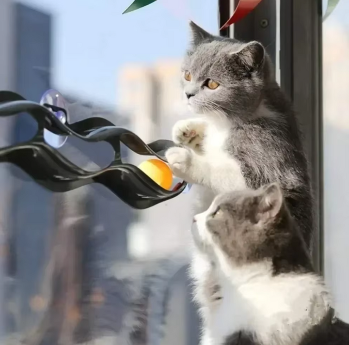 Window-mounted cat track toy with movable balls; ideal for interactive pet play & enrichment.