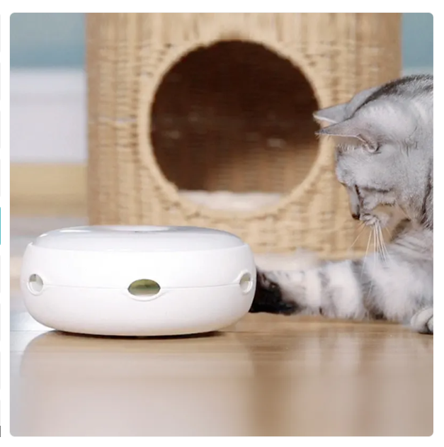 Automatic feather cat toy for indoor cats. Interactive design with a rainbow feather for endless fun & exercise.