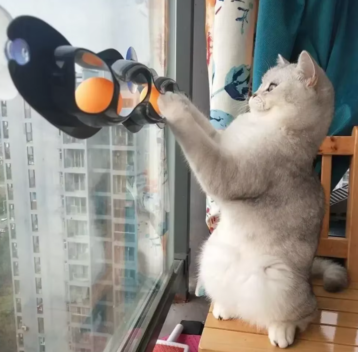 Window-mounted interactive cat toy with movable balls & suction cups for feline enrichment & play.