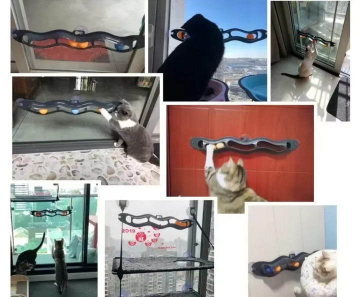 Stimulating window-mounted interactive cat toy with rolling balls for endless feline fun & play.