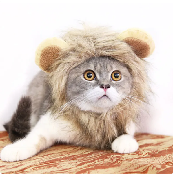 Funny cat lion mane costume with ears, perfect pet accessory for hilarious photos & dress-up. Adorable cat outfit.