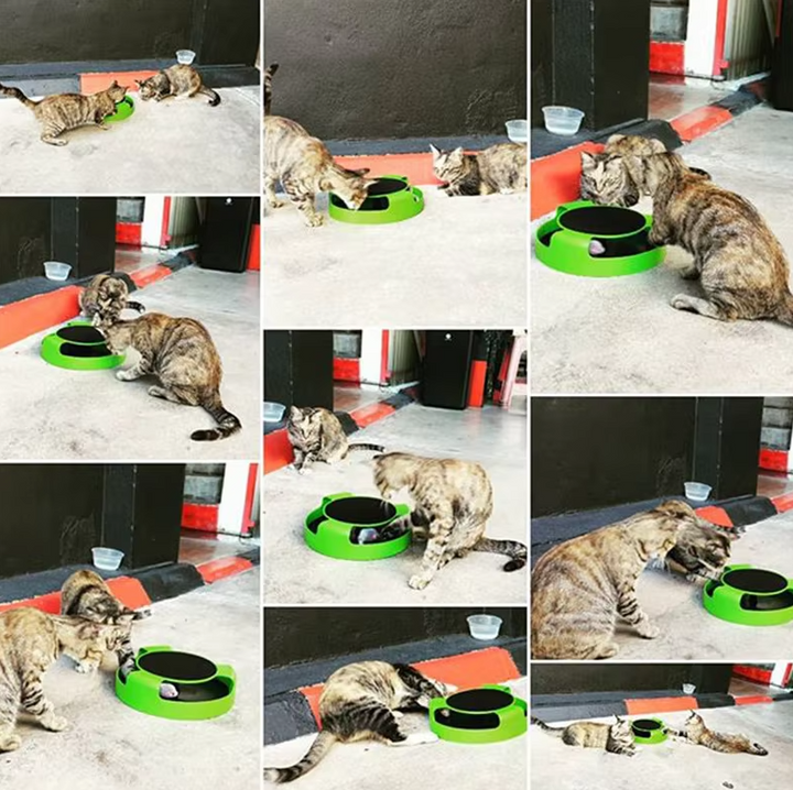 Interactive cat toy shaped like a mouse, boosting feline hunting instinct.