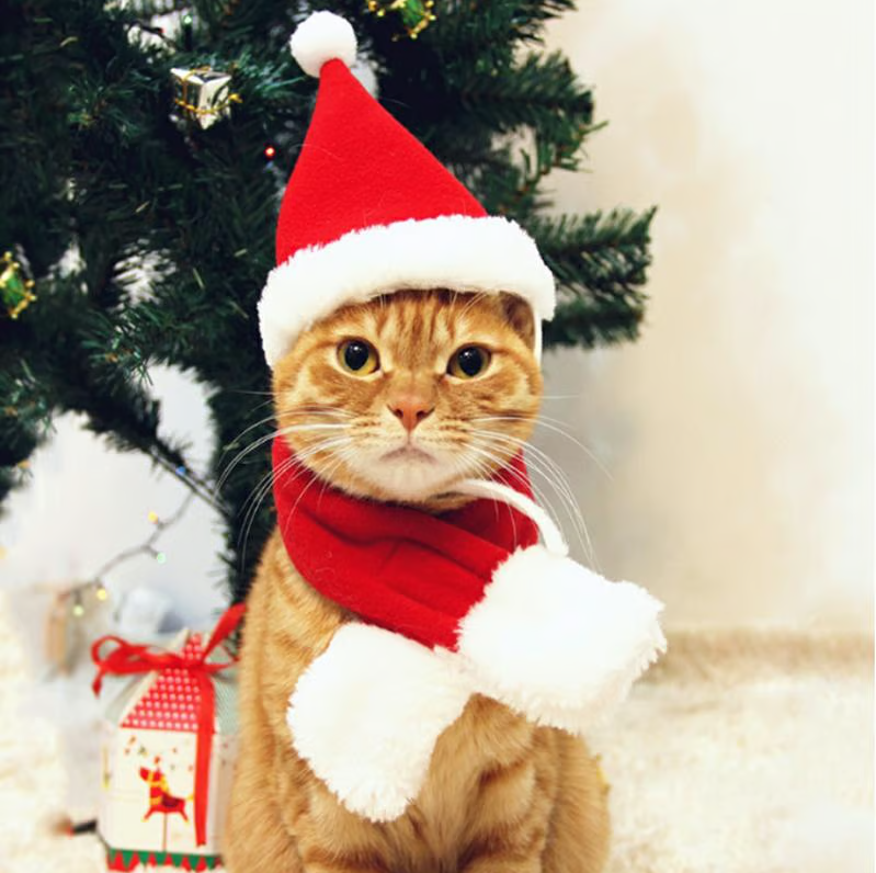Adorable dog Christmas hat, red & white, soft & comfy, great for holiday pet fashion & winter outfits.