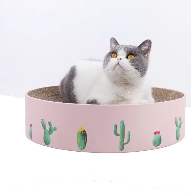 Feline-friendly modern cactus scratching board, durable and stylish solution to protect furniture and entertain cats.