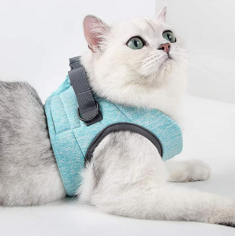 Feline safety outdoor cat harness & leash. Escape-proof design ensures secure walks.