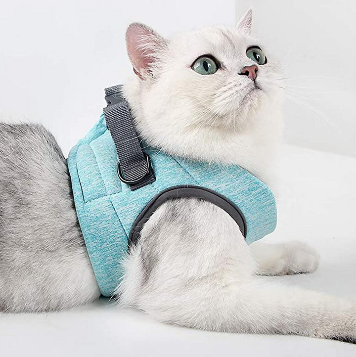 Feline safety outdoor cat harness & leash. Escape-proof design ensures secure walks.