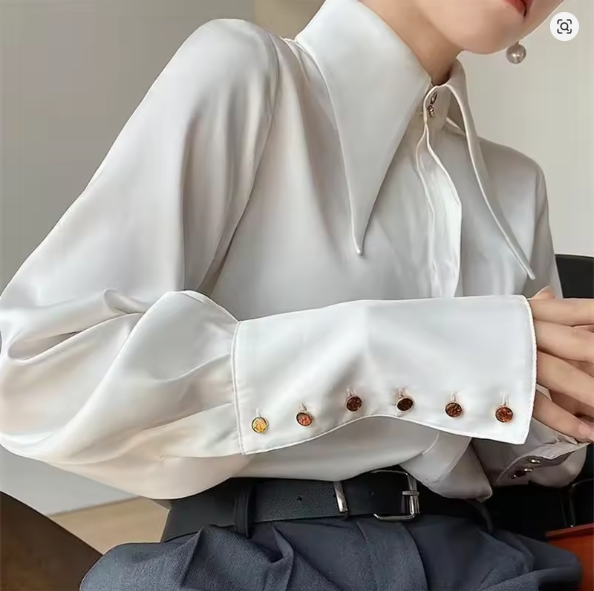 Chic women's puff sleeve blouse. An elegant statement shirt, perfect for office, casual, or evening wear.