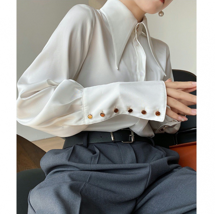 Women's elegant statement blouse. Features chic puff long sleeves for a fashionable, classic office look.