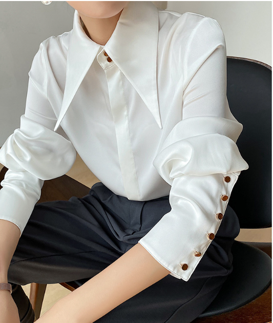 Stylish women's puff sleeve shirt, an elegant statement blouse for versatile office and evening wear.