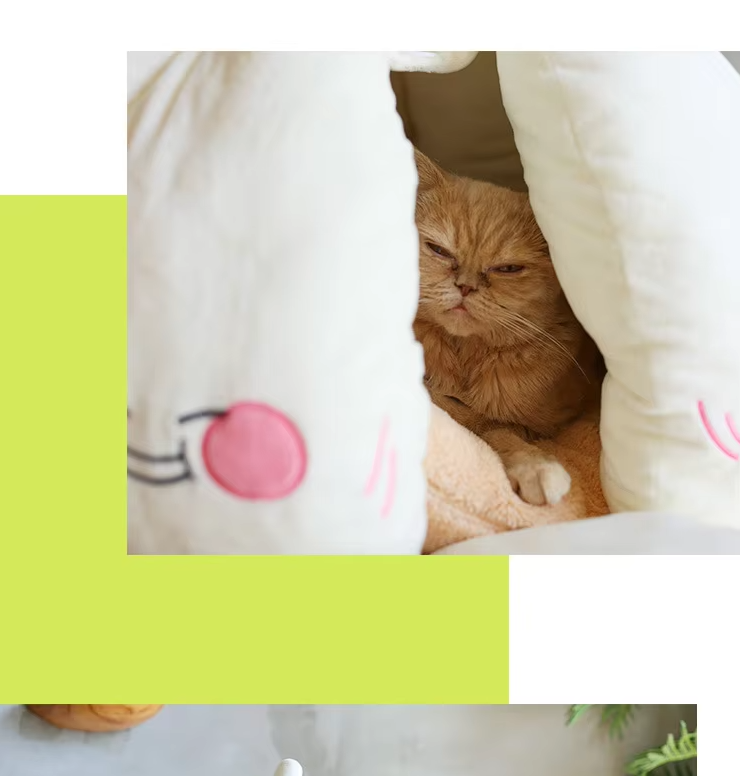 Modern white garlic pet bed for cats. A cozy animal cave & washable small dog bed, stylish pet furniture.