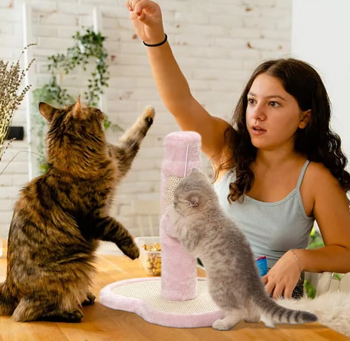 Cat scratching post with heart & star design, sisal scratcher for claw care & playtime.