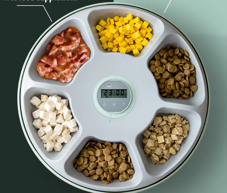 Programmable cat feeder bowl with digital timer for consistent, measured meal delivery.
