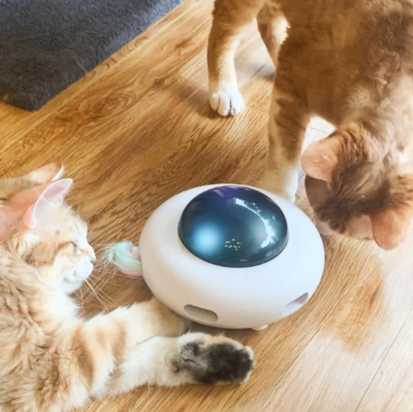 Interactive cat toy with LED lights & feather for active pet enrichment and playtime fun.
