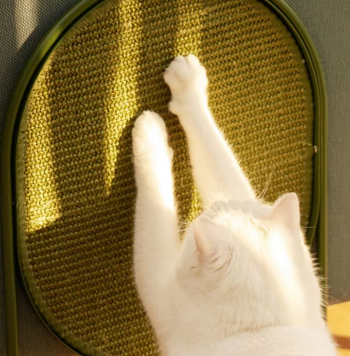 Sleek, modern cat scratching post with sturdy base & sisal rope. Essential feline claw care & stylish pet accessory.