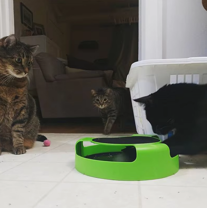 Cat enrichment interactive mouse toy, perfect for stimulating playtime.