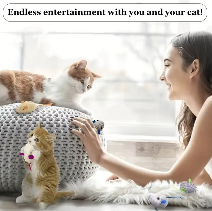 Kitty interactive plush mouse toys (3-pack) for stimulating hunting instincts & active indoor cat play.