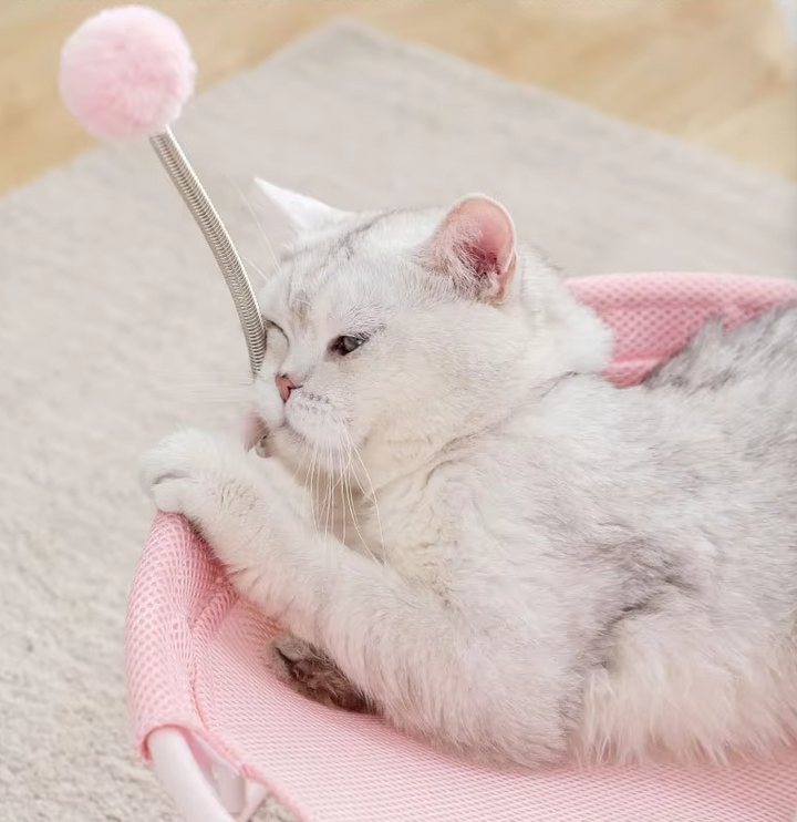 Stylish round cat hammock with robust frame & comfortable fabric, complete with stimulating play balls.