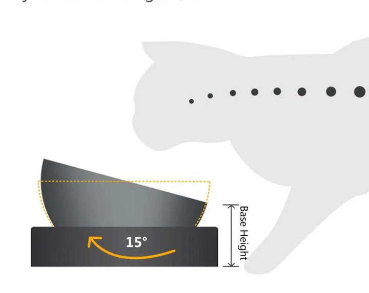 Convenient elevated double stainless steel pet bowls for cats. Easy-to-clean food & water feeder.