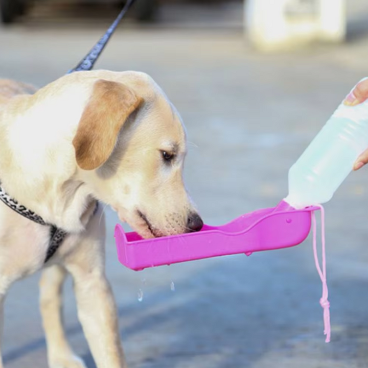 Stylish portable dog drinking bottle with attached travel bowl, essential pet supply for walks.