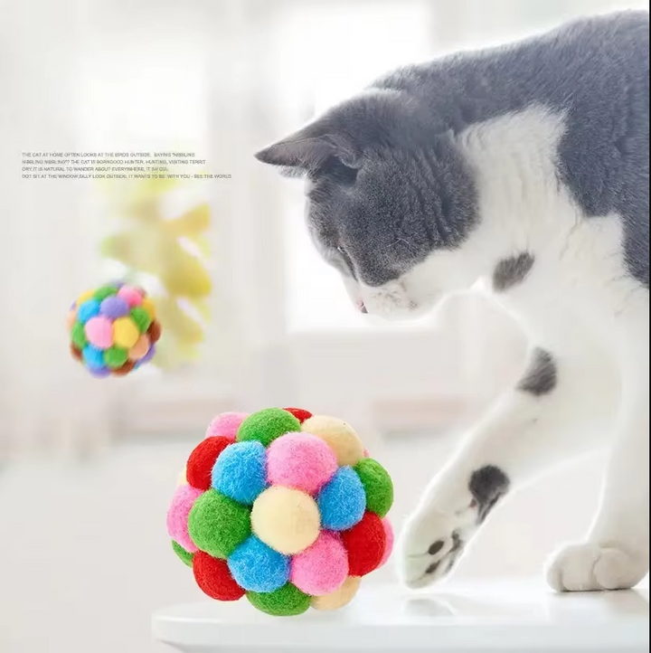 Colorful pompom cat ball, soft interactive toy for playful kittens & house cats. Feline enrichment.