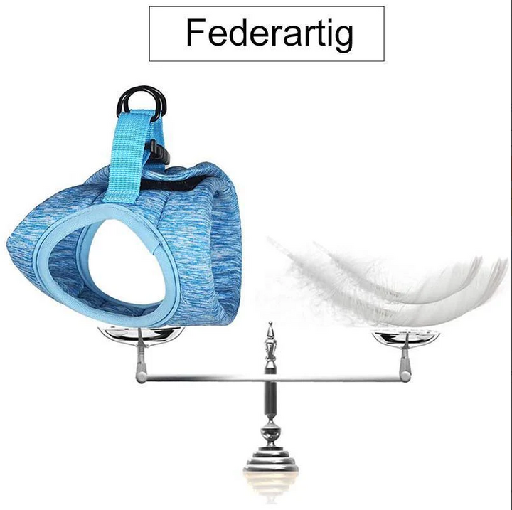 Comfortable, adjustable cat walking harness with pet leash for small pets.