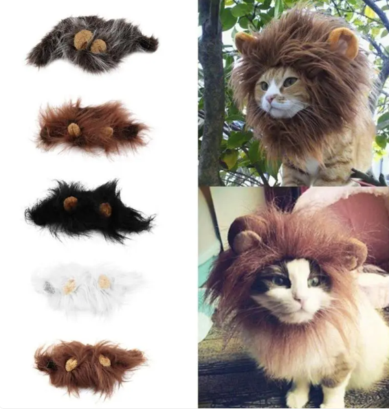 Halloween cat lion mane costume with ears. Adorable pet dress-up outfit for funny feline fashion photos.