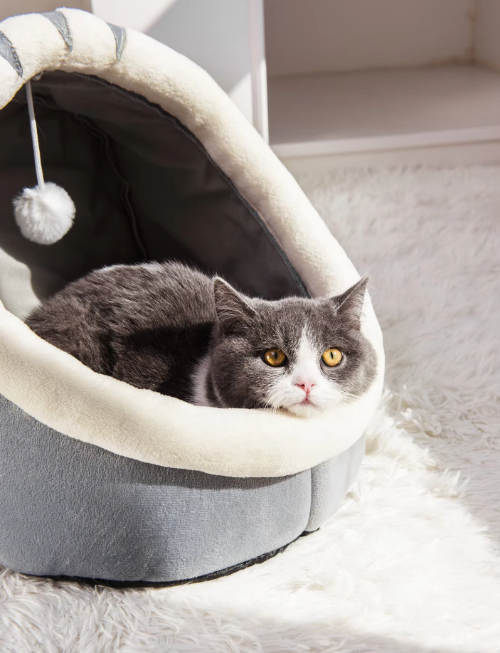 Plush unisex cat igloo bed with soft walls, playful ears & a hanging ball for fun. Perfect pet accessories.