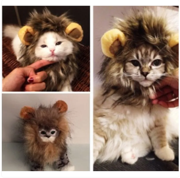 Adorable cat lion mane costume with ears. A funny pet apparel & photo prop, great cat gift for dress-up.